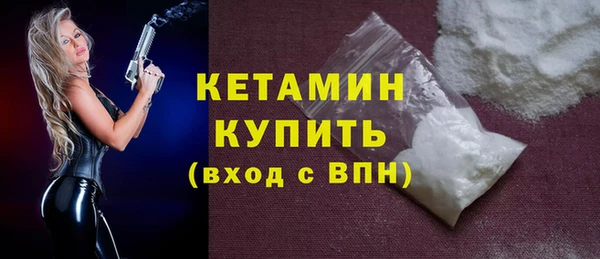 гидра Няндома