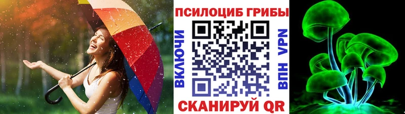 Галлюциногенные грибы MAGIC MUSHROOMS  купить   Славск 
